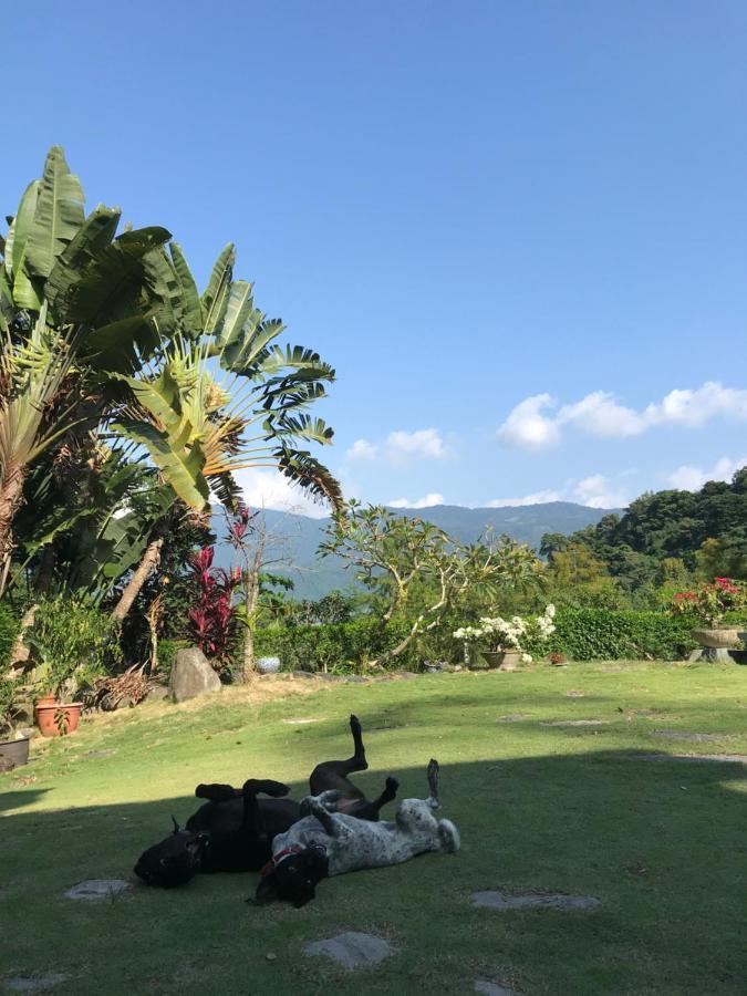 Wisdom Garden Home Stay Yuli Ngoại thất bức ảnh
